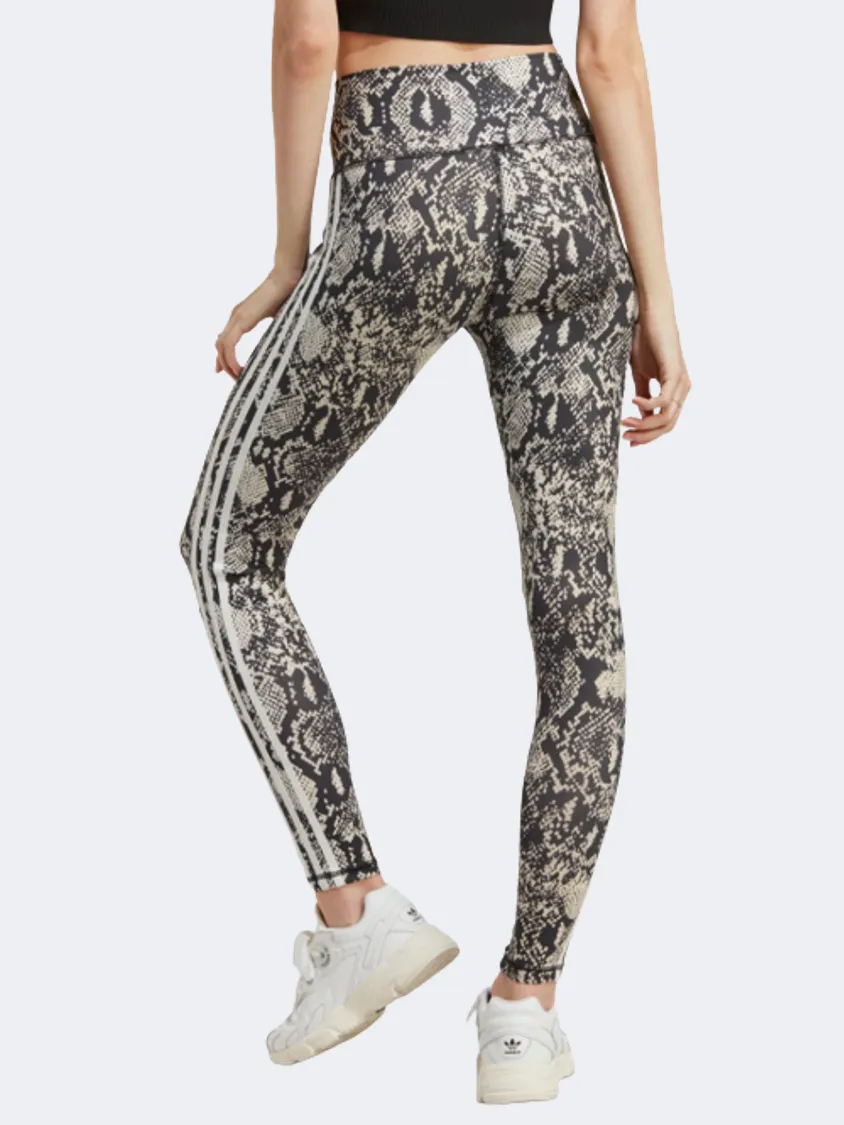 Adidas  Women Original Tight Multicolor