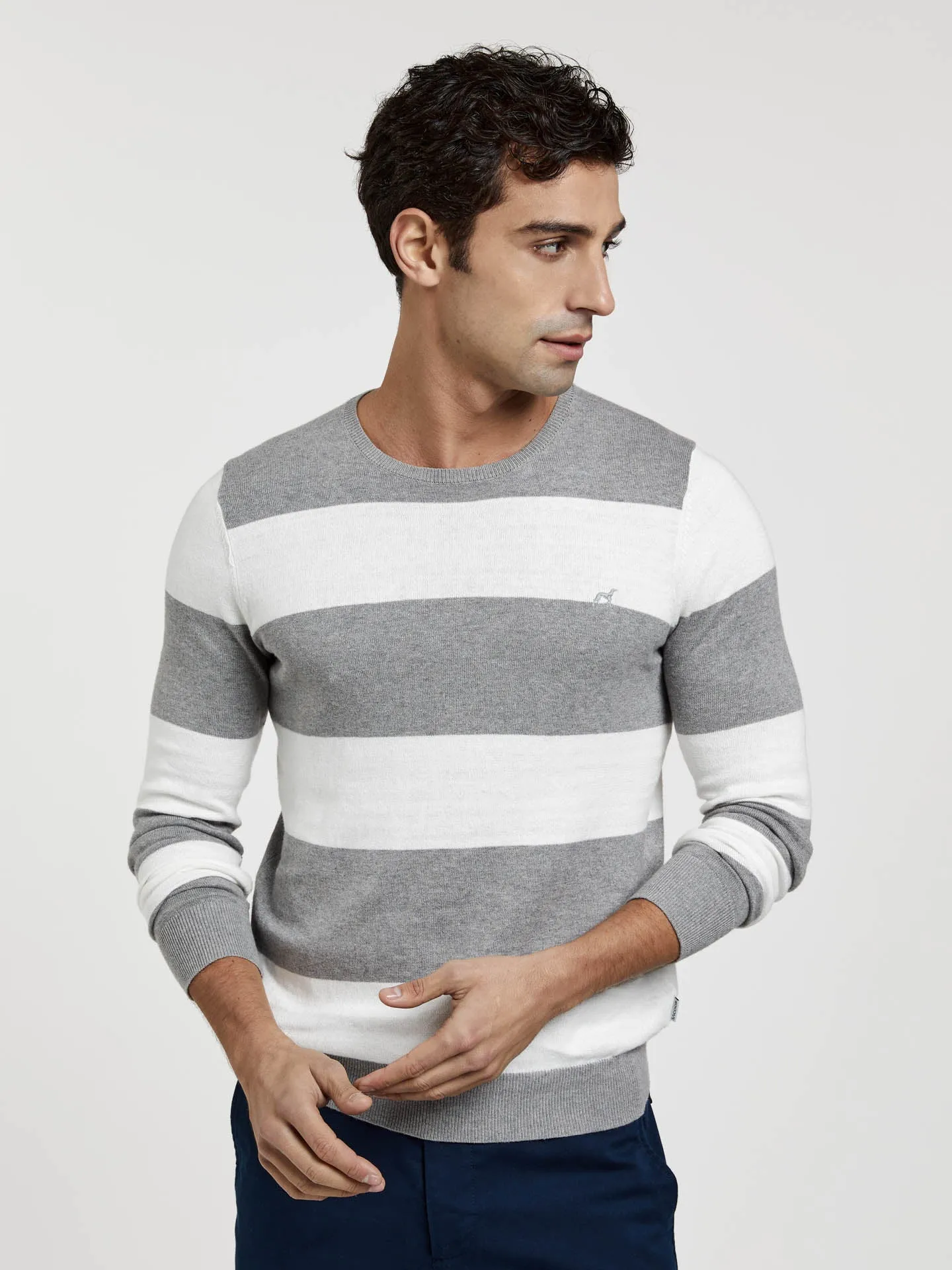 Crew Neck Sweater With Large Stripes