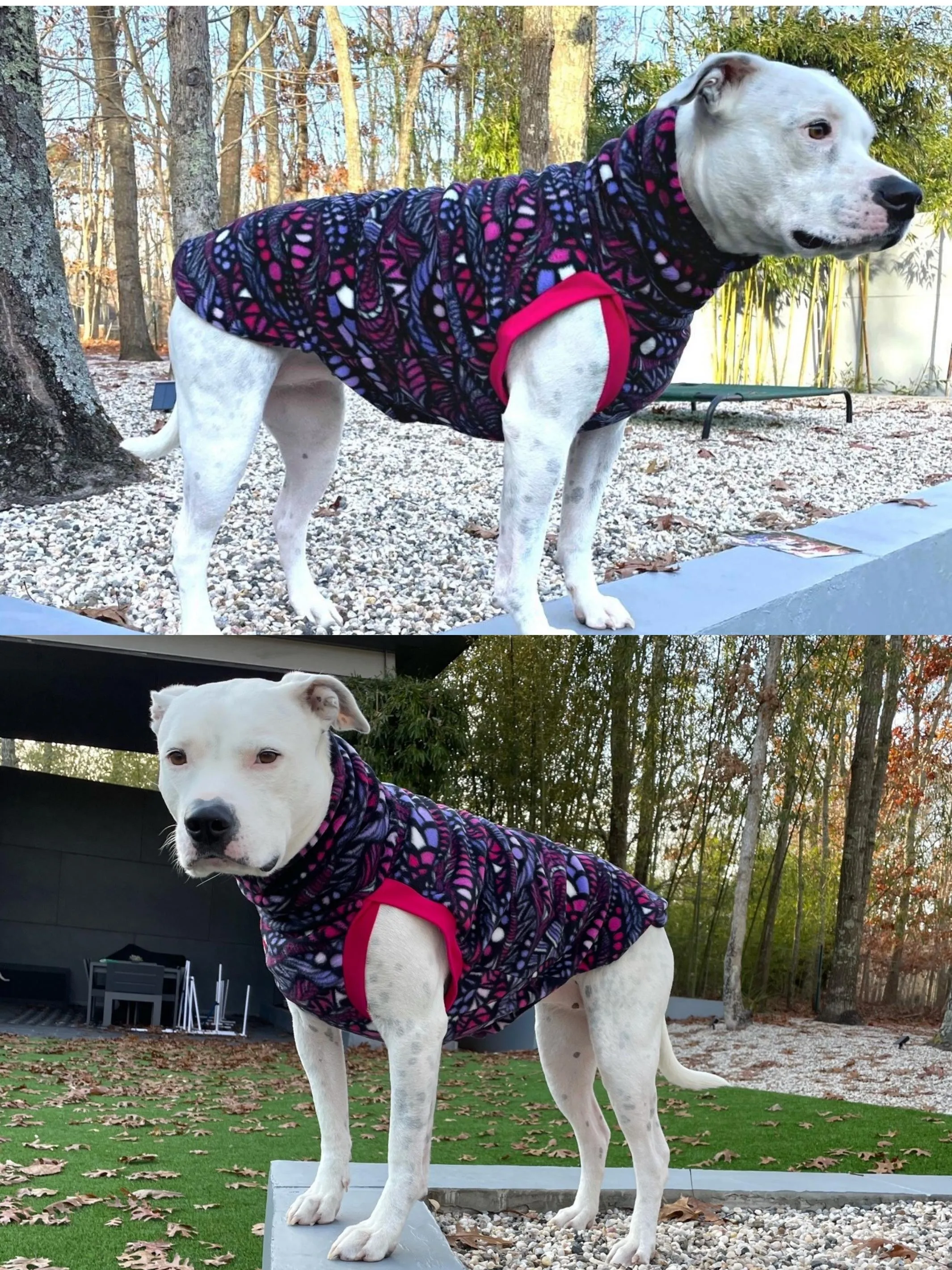 Purple Pink Zen-tangle Dog Sweater